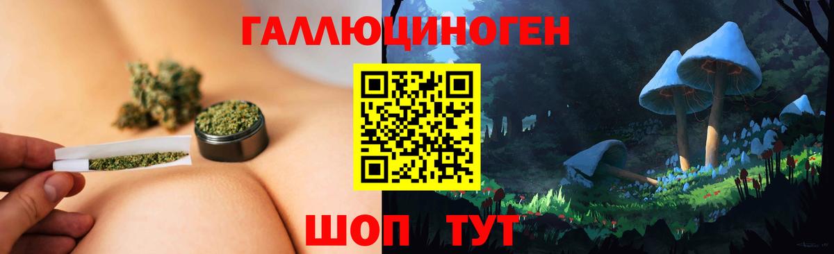 Екатеринбург  Галлюциногенные грибы мухоморы  Вход с VPN  Псилоцибиновые грибы Psilocybe 
